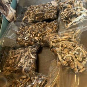 Champignons magiquement dorés séchés