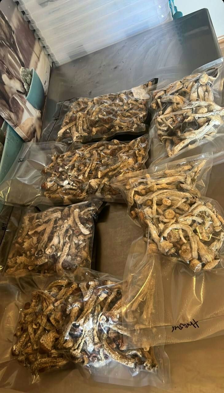 Champignons magiquement dorés séchés
